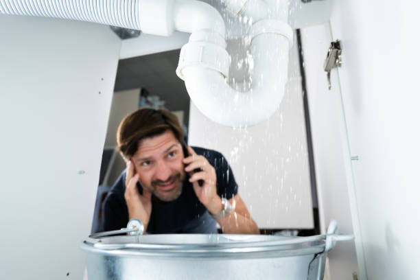 Best Local Plumber Services  in Lepanto, AR